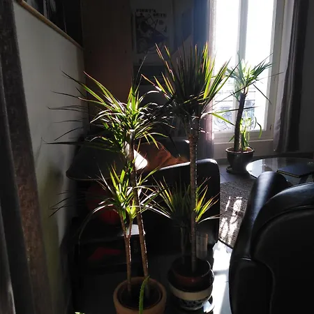 Les Mythiques Canaux De Sete, Vue D'exception ! Apartment *