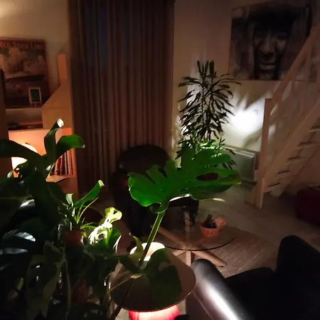 Les Mythiques Canaux De Sete, Vue D'exception ! Apartment Sete