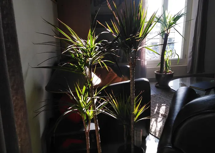 Les Mythiques Canaux De Sete, Vue D'exception ! Διαμέρισμα *