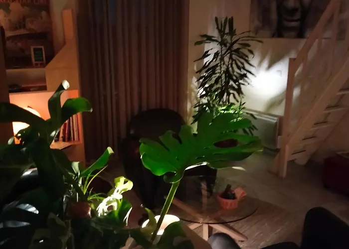 Les Mythiques Canaux De Sete, Vue D'exception ! Διαμέρισμα Σετ